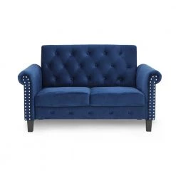 Bastia 47.6 in. Navy Button Tufted Velvet 2-Seater Loveseat with Nailheads by Furinno