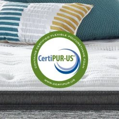 Carbon Series Plush Pillow Top 15.75 in. Mattress Low Profile Foundation Set by Beautyrest -Furinno Sales white beautyrest mattresses 700810909 9850 44 1000